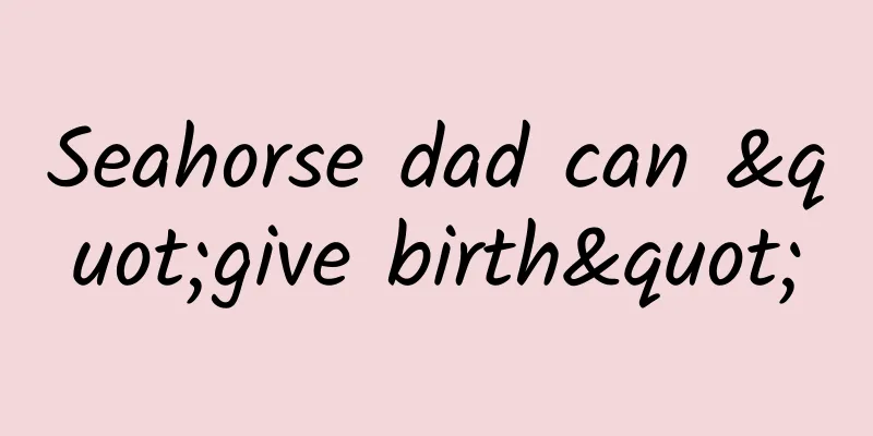 Seahorse dad can "give birth"