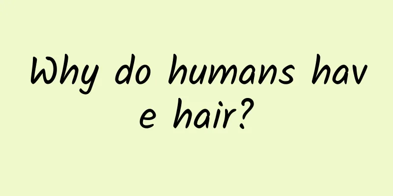 Why do humans have hair?
