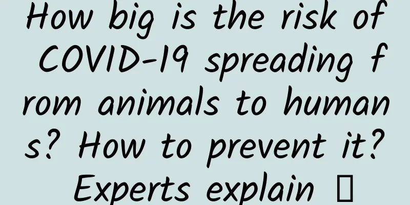 How big is the risk of COVID-19 spreading from animals to humans? How to prevent it? Experts explain →