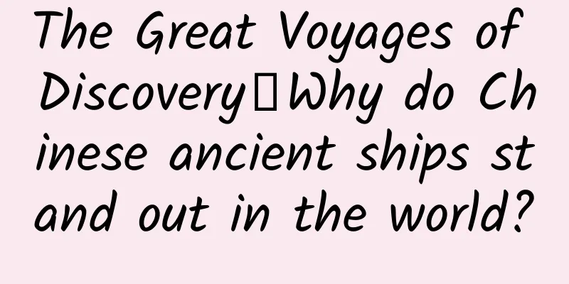 The Great Voyages of Discovery丨Why do Chinese ancient ships stand out in the world?