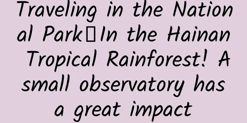 Traveling in the National Park丨In the Hainan Tropical Rainforest! A small observatory has a great impact