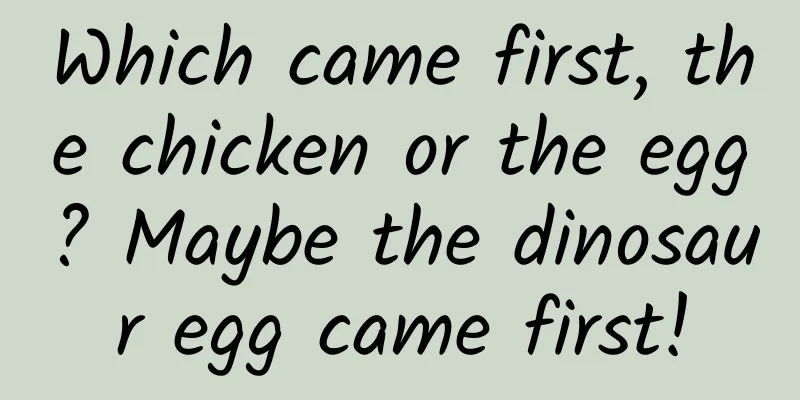 Which came first, the chicken or the egg? Maybe the dinosaur egg came first!