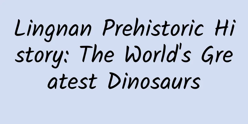 Lingnan Prehistoric History: The World's Greatest Dinosaurs