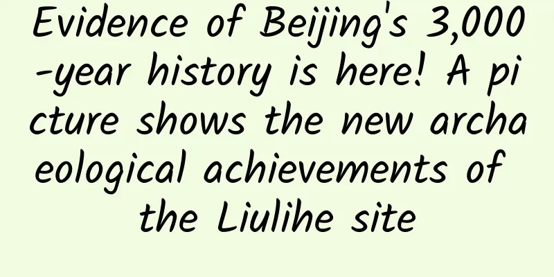 Evidence of Beijing's 3,000-year history is here! A picture shows the new archaeological achievements of the Liulihe site