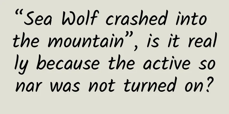 “Sea Wolf crashed into the mountain”, is it really because the active sonar was not turned on?