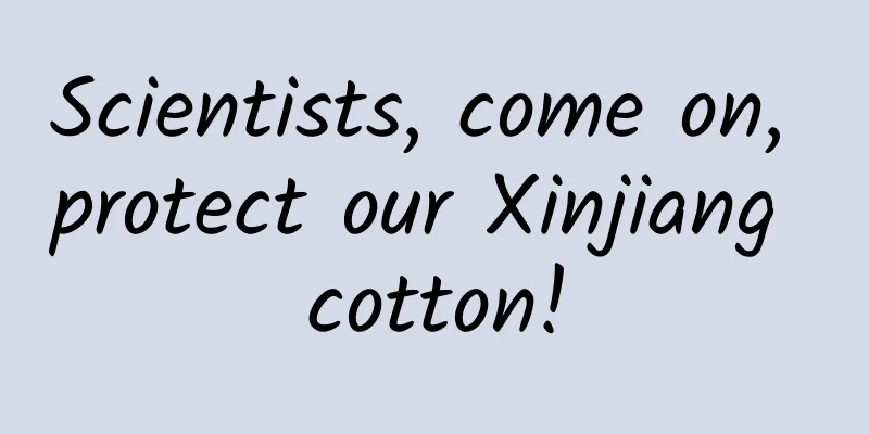 Scientists, come on, protect our Xinjiang cotton!