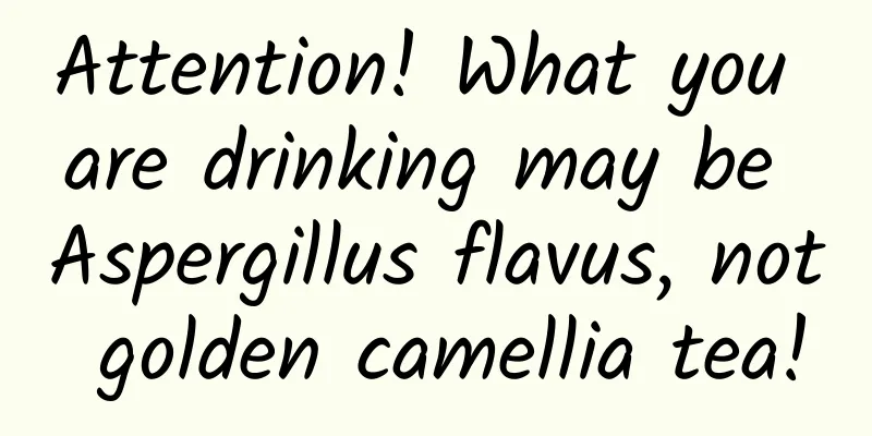 Attention! What you are drinking may be Aspergillus flavus, not golden camellia tea!