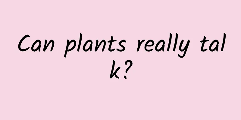 Can plants really talk?