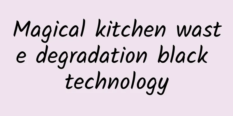 Magical kitchen waste degradation black technology