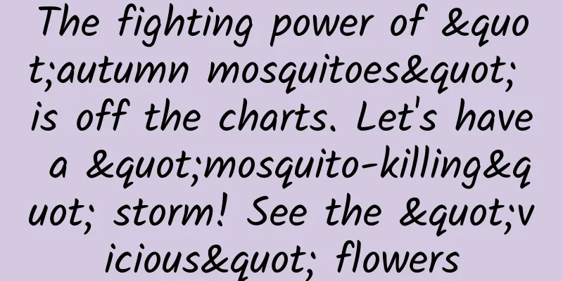The fighting power of "autumn mosquitoes" is off the charts. Let's have a "mosquito-killing" storm! See the "vicious" flowers