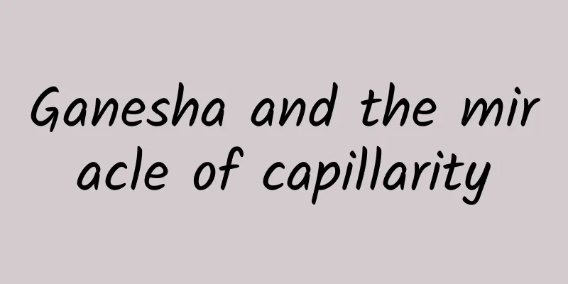 Ganesha and the miracle of capillarity